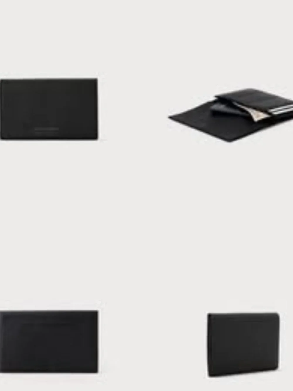 Accordion Travel Wallet